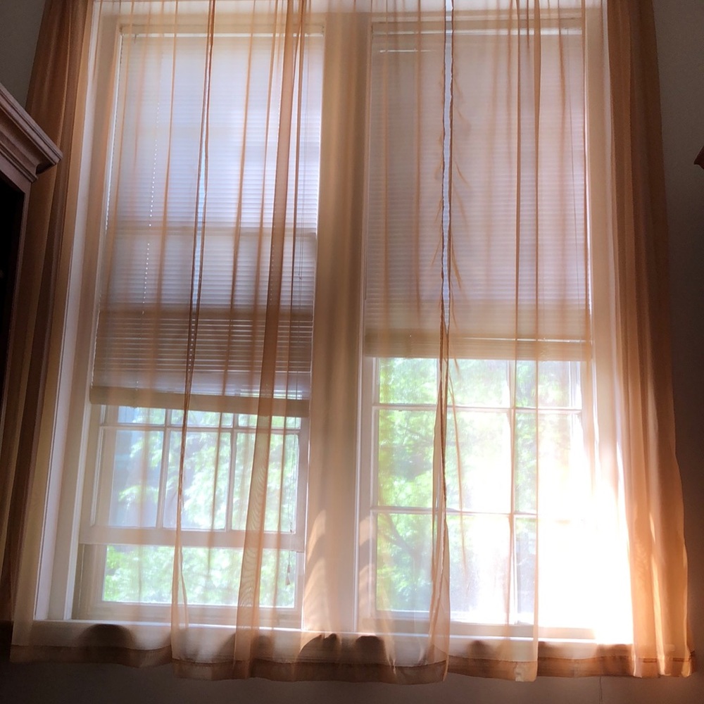 Sheer gold curtains, EUC